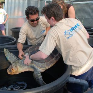 ARCHELONrescue centre